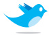 twitter_bird_logo_by_biz-stone