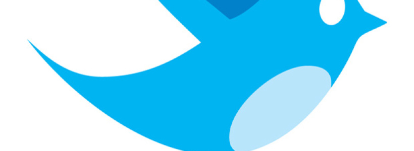 twitter_bird_logo_by_biz-stone