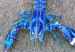 120612011118-blue-lobster-story-top