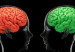 120620121123_brain_amor_304x171_spl_nocredit