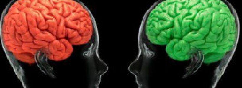 120620121123_brain_amor_304x171_spl_nocredit