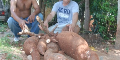 La-mam-de-las-yucas-