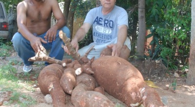 La-mam-de-las-yucas-