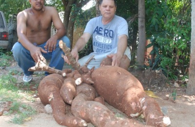 La-mam-de-las-yucas-