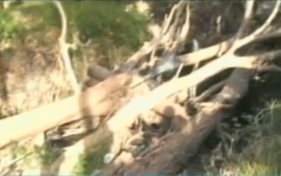 arboles_obstruyen_rio_loma_bajita2345678