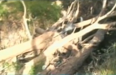 arboles_obstruyen_rio_loma_bajita2345678