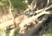 arboles_obstruyen_rio_loma_bajita2345678
