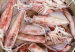 calamares2767887