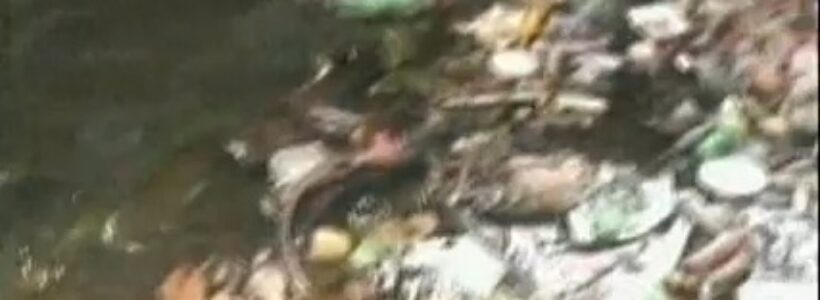 contaminacion_en_loma_bajita