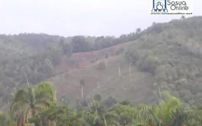 deforestan_donde_nace_rio_sosua