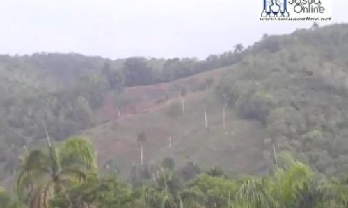 deforestan_donde_nace_rio_sosua