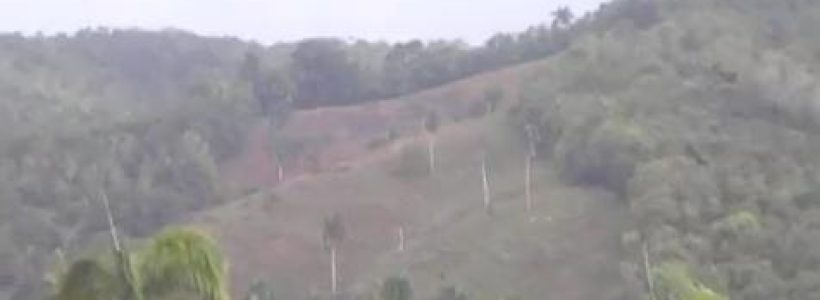 deforestan_donde_nace_rio_sosua