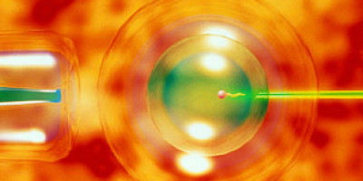 in_vitro4566788967