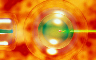 in_vitro4566788967