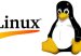 linux-18667890-