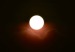 transito_de_venus_por_el_sol6745