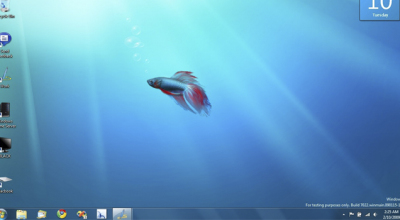 win111