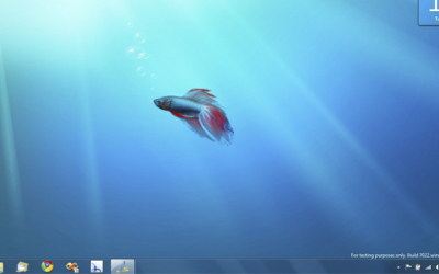 win111