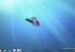 win111