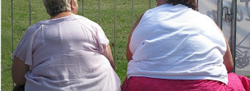 120322135032_two_fat_ladies_304x171_bbc_nocredit