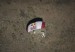 Aterrizaje-del-paracaidista-extremo-Baumgartner-en-el-desierto-de-Nuevo-Mxico-300x168