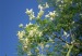 BAED7285-38D6-44F5-9CE1-0C3AEA97C6D6.jpg__294__440__CROPz0x294y440