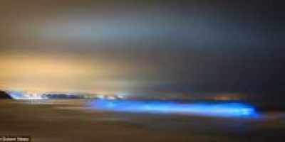 La-misteriosa-luz-azul-ilumina-playa-durante-medianoche-en-California534697_1