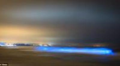 La-misteriosa-luz-azul-ilumina-playa-durante-medianoche-en-California534697_1