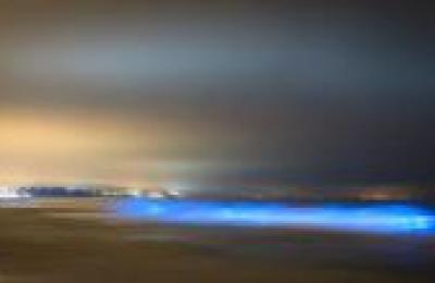 La-misteriosa-luz-azul-ilumina-playa-durante-medianoche-en-California534697_1