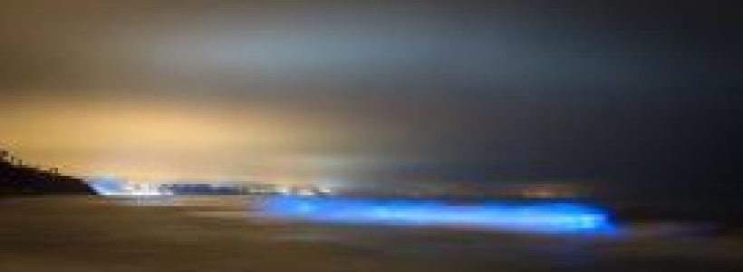 La-misteriosa-luz-azul-ilumina-playa-durante-medianoche-en-California534697_1