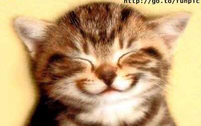 SONRISA_gatito