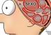 cerebro-masculino