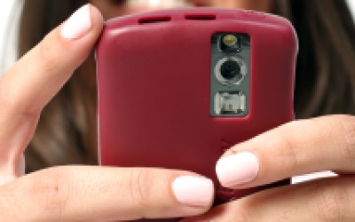 crop_4079453