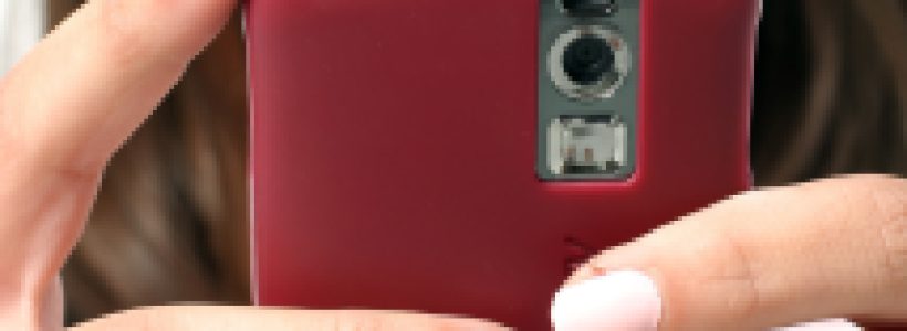 crop_4079453
