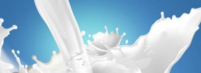 leche1
