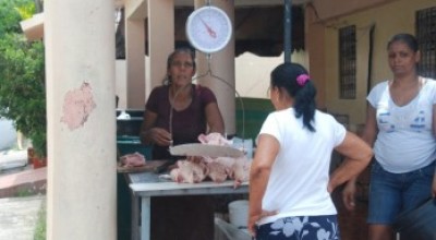 martes_17_dia_sin_pollo