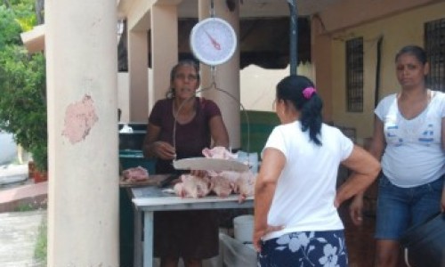 martes_17_dia_sin_pollo