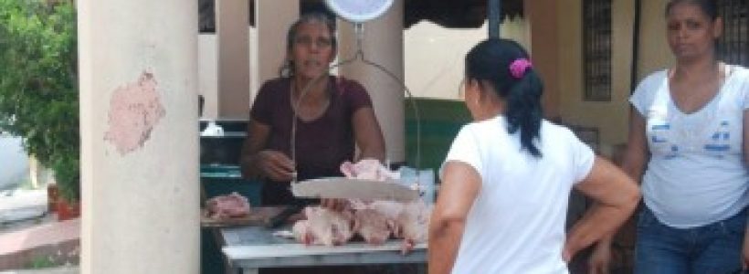 martes_17_dia_sin_pollo