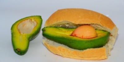 pan_con_aguacate_delicia