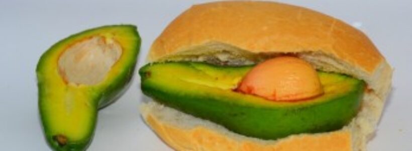 pan_con_aguacate_delicia