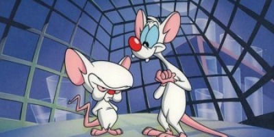 pinky-y-cerebro-02