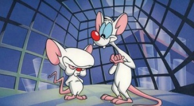 pinky-y-cerebro-02