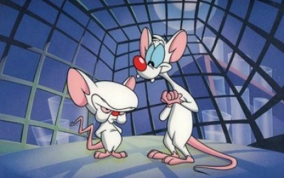 pinky-y-cerebro-02