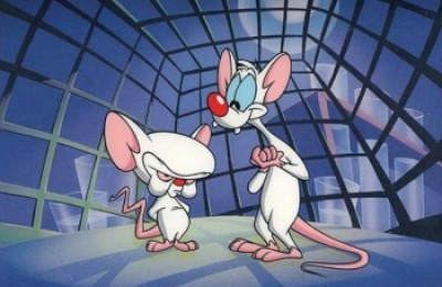 pinky-y-cerebro-02