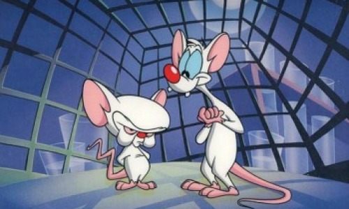 pinky-y-cerebro-02