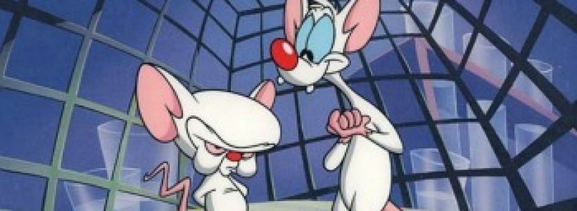 pinky-y-cerebro-02