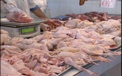 pollo-b7-300x200