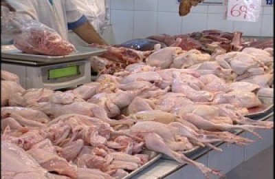 pollo-b7-300x200