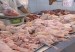 pollo-b7-300x200