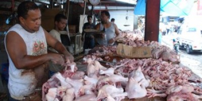 pollo_novelasubiran_3_o_4_al_pollo